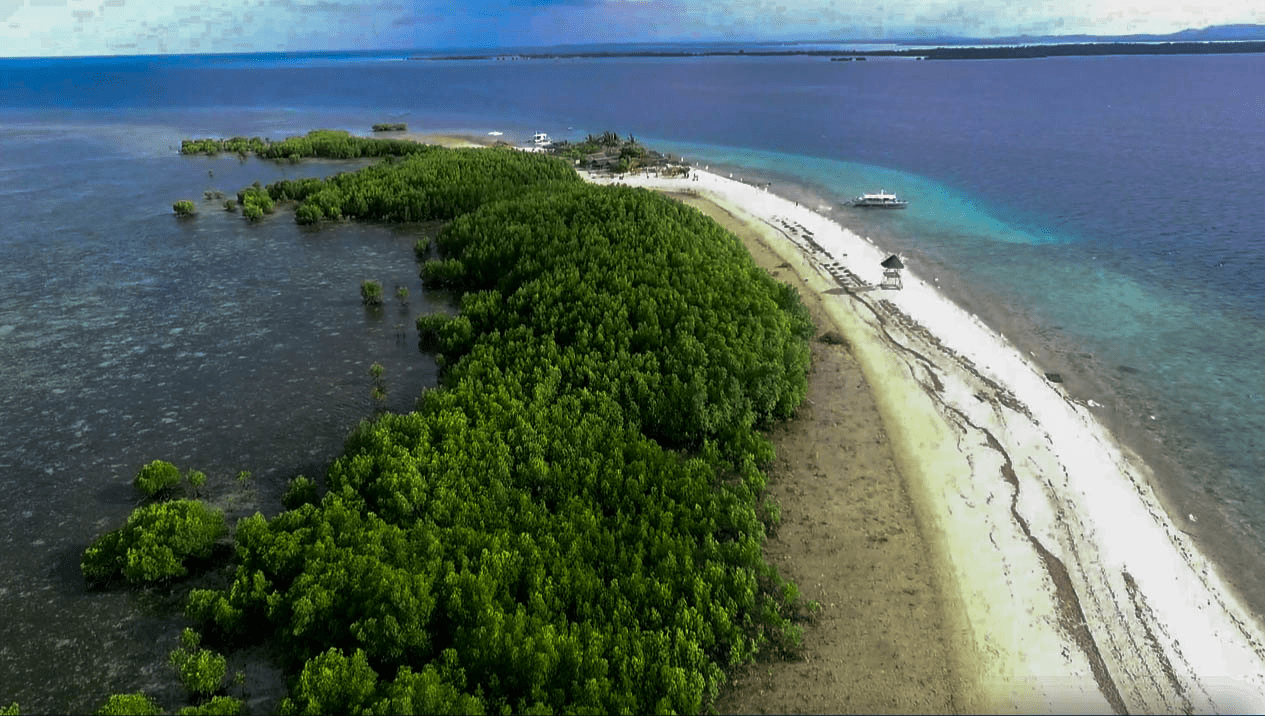 starfish island in honda bay island hopping tour palawan philippines